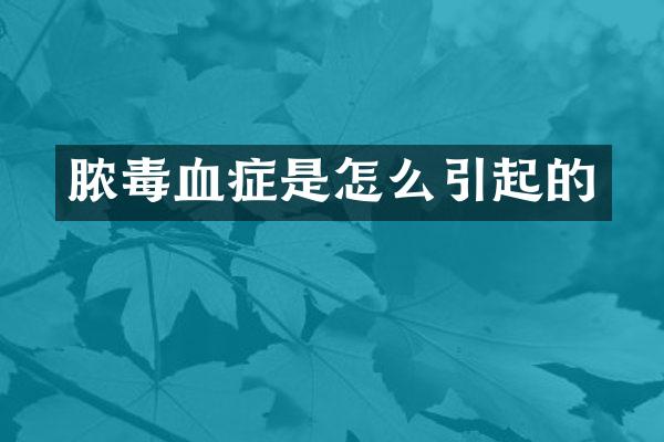脓毒血症是怎么引起的