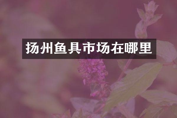 扬州鱼具市场在哪里