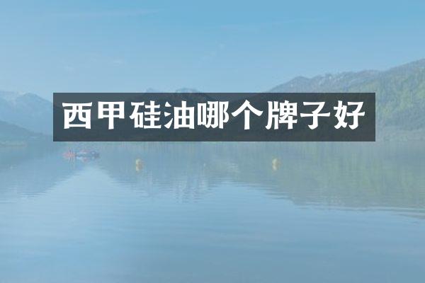 西甲硅油哪个牌子好