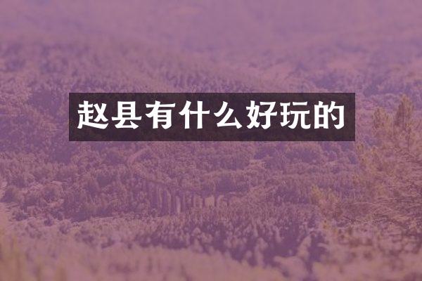 赵县有什么好玩的