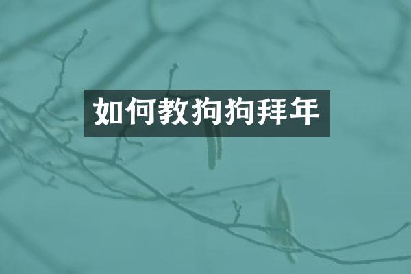 如何教狗狗拜年