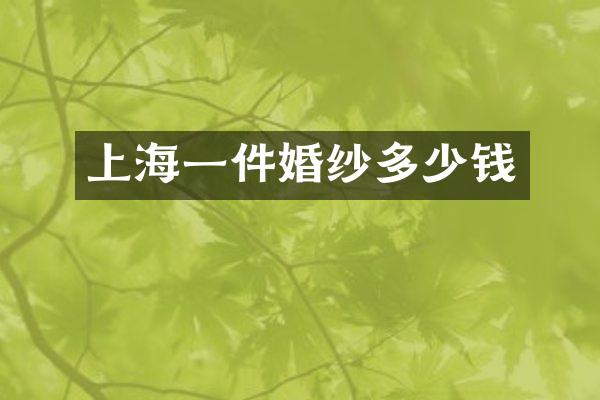 上海一件婚纱多少钱