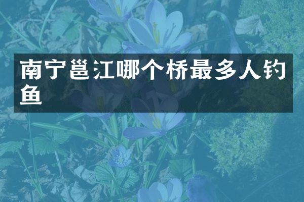 南宁邕江哪个桥最多人钓鱼