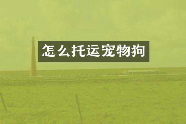 怎么托运宠物狗