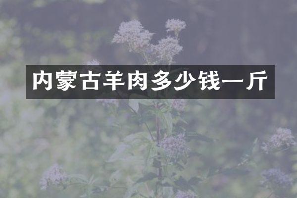 内蒙古羊肉多少钱一斤