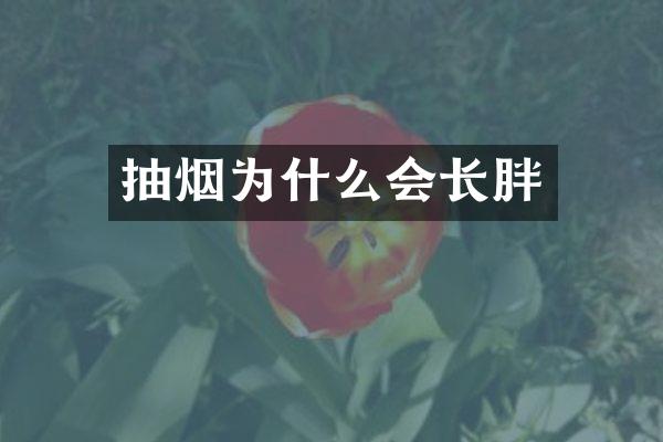 抽烟为什么会长胖