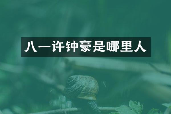八一许钟豪是哪里人