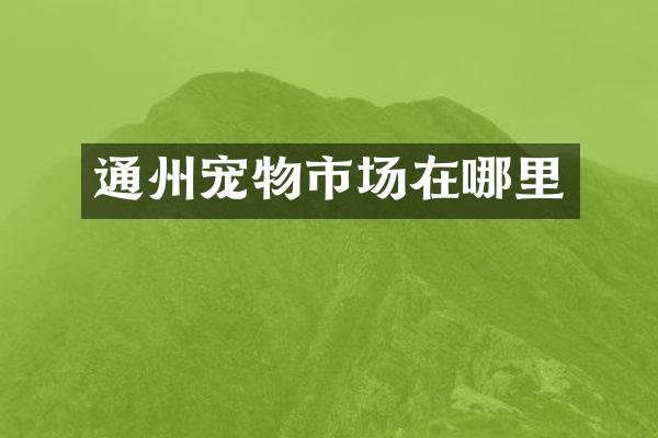 通州宠物市场在哪里