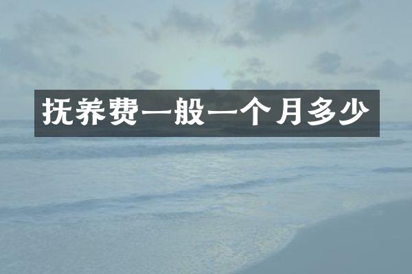 抚养费一般一个月多少