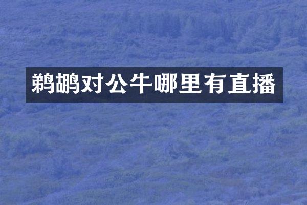 鹈鹕对公牛哪里有直播