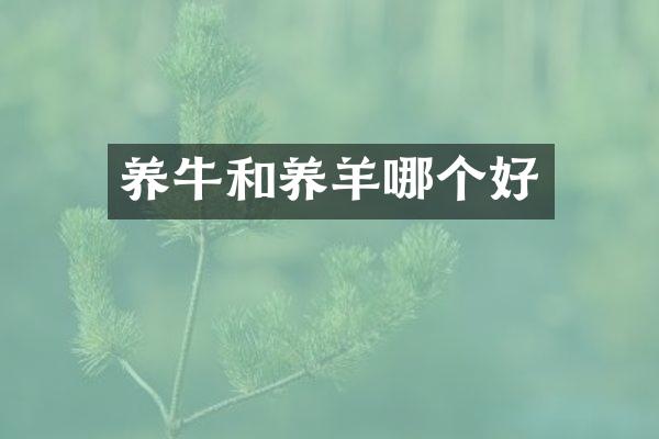 养牛和养羊哪个好