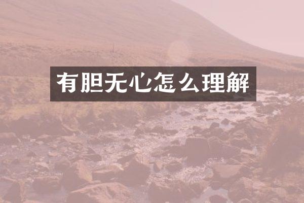 有胆无心怎么理解