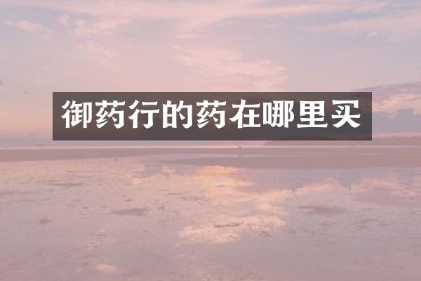 御药行的药在哪里买