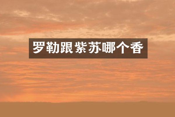 罗勒跟紫苏哪个香