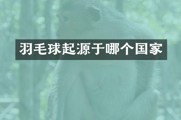 羽毛球起源于哪个国家