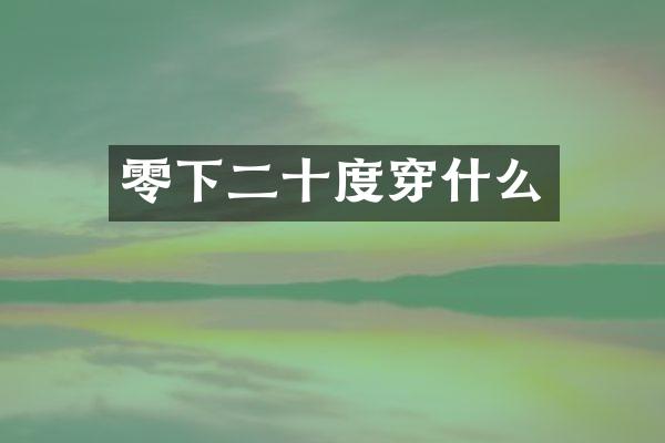 零下二十度穿什么