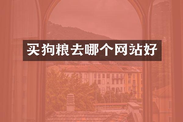 买去哪个网站好