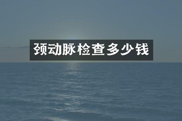 颈动脉检查多少钱