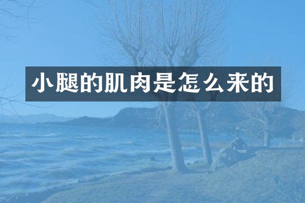 小腿的肌肉是怎么来的