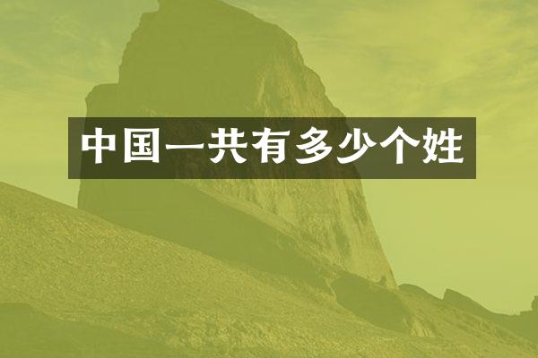 中国一共有多少个姓