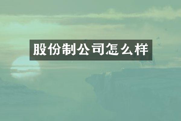 股份制公司怎么样