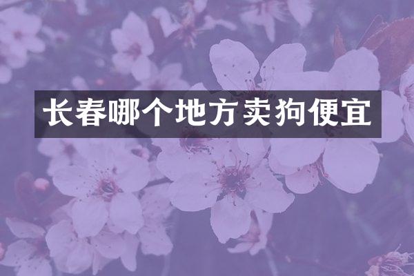 长春哪个地方卖狗便宜