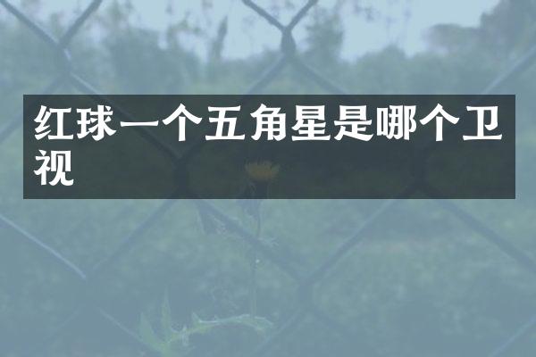 红球一个五角星是哪个卫视