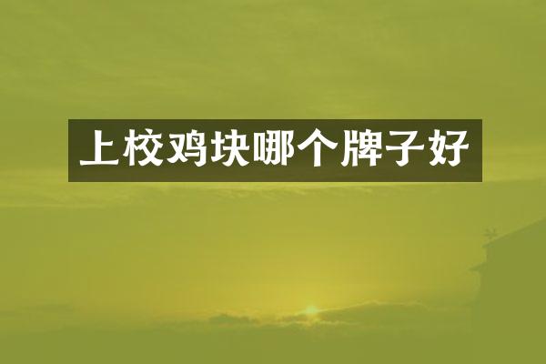上块哪个牌子好