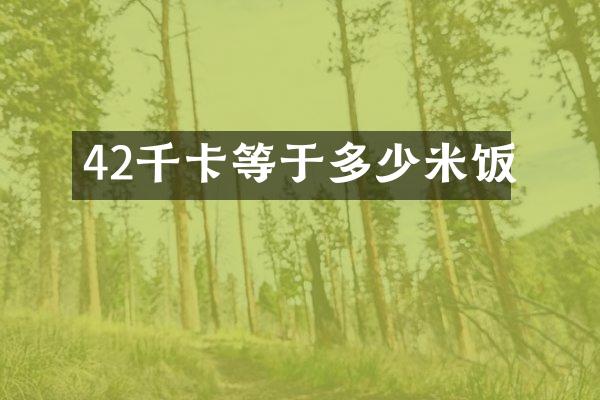 42千卡等于多少米饭