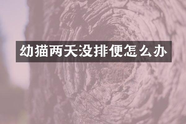 幼猫两天没排便怎么办