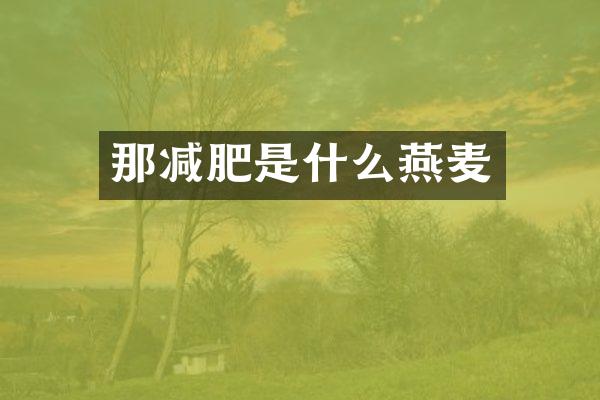 那减肥是什么燕麦