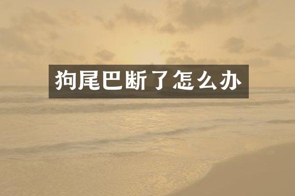 狗尾巴断了怎么办
