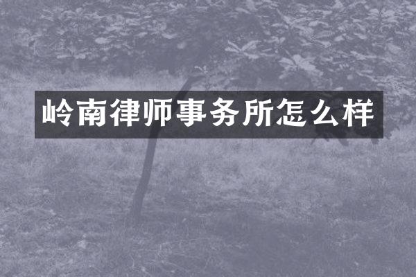 岭南律师事务所怎么样