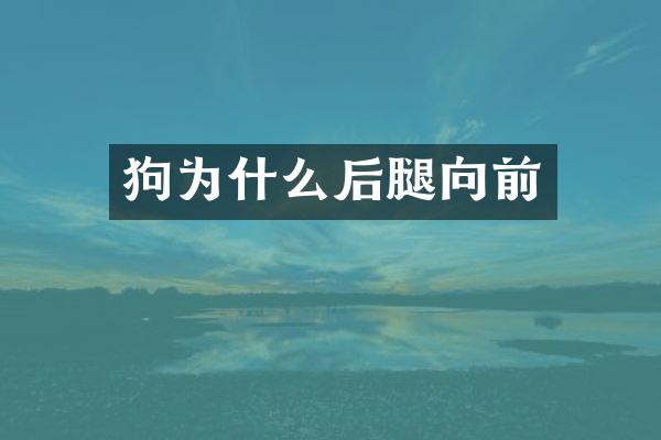 狗为什么后腿向前