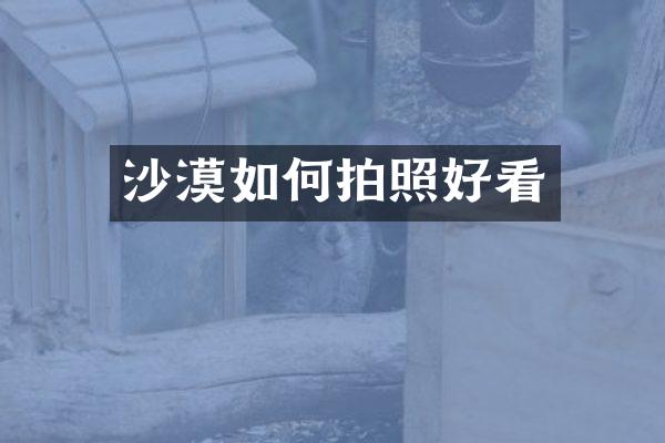 沙漠如何拍照好看