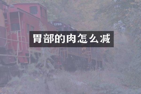 胃部的肉怎么减