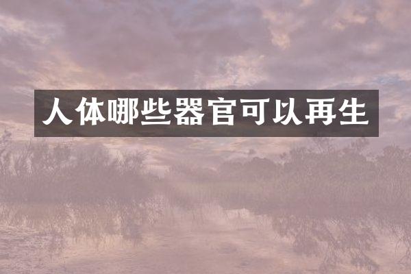 人体哪些器官可以再生