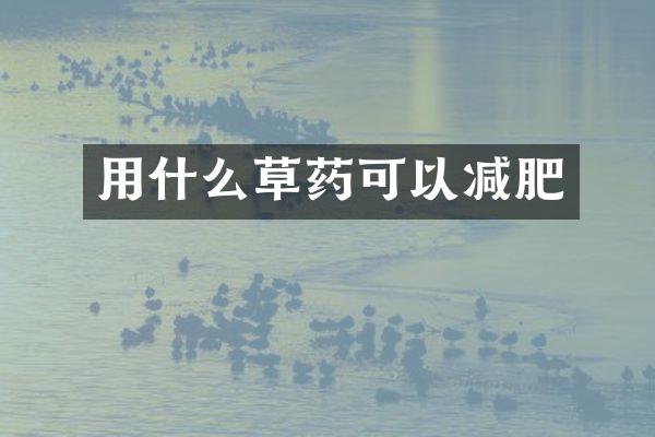 用什么草药可以减肥