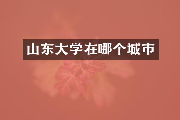 山东大学在哪个城市