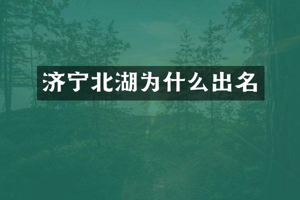 济宁北湖为什么出名