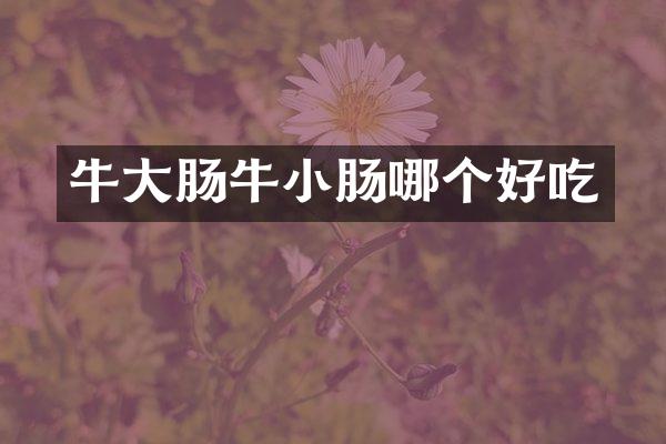 牛大肠牛小肠哪个好吃