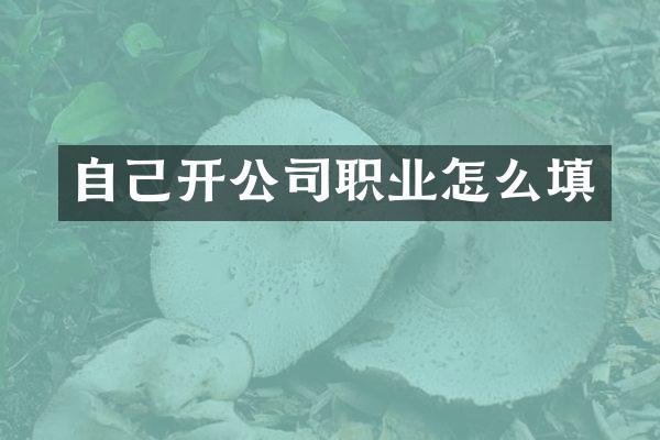 自己开公司职业怎么填