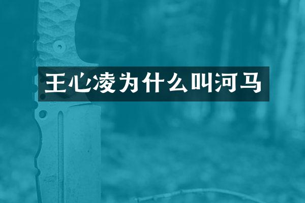 王心凌为什么叫河马