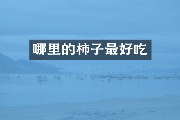 哪里的柿子最好吃