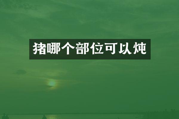 猪哪个部位可以炖