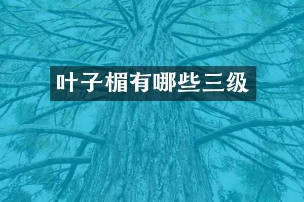 叶子楣有哪些三级