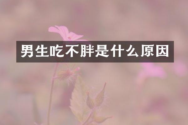男生吃不胖是什么原因