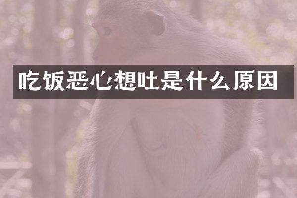 吃饭恶心想吐是什么原因