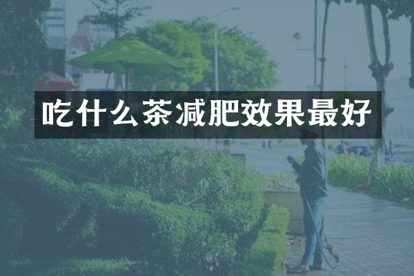 吃什么茶减肥效果最好