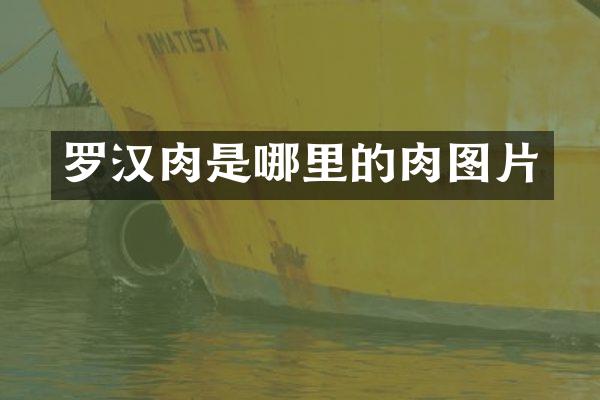 罗汉肉是哪里的肉图片